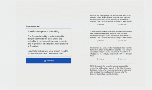 Sample of Meta's text generation tool for advertisers.
